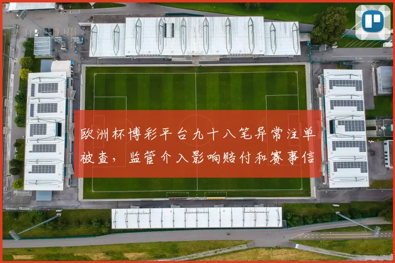 欧洲杯博彩平台九十八笔异常注单被查，监管介入影响赔付和赛事信誉