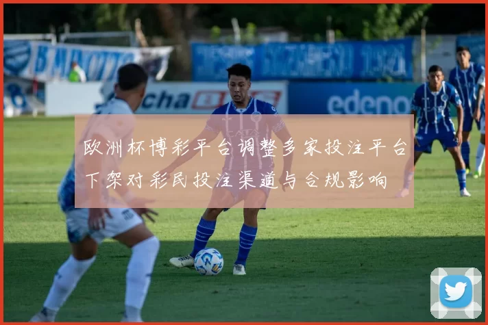 欧洲杯博彩平台调整多家投注平台下架对彩民投注渠道与合规影响