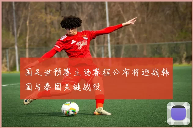 国足世预赛主场赛程公布将迎战韩国与泰国关键战役